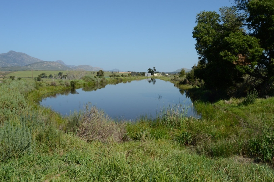 Commercial Property for Sale in George Rural Western Cape